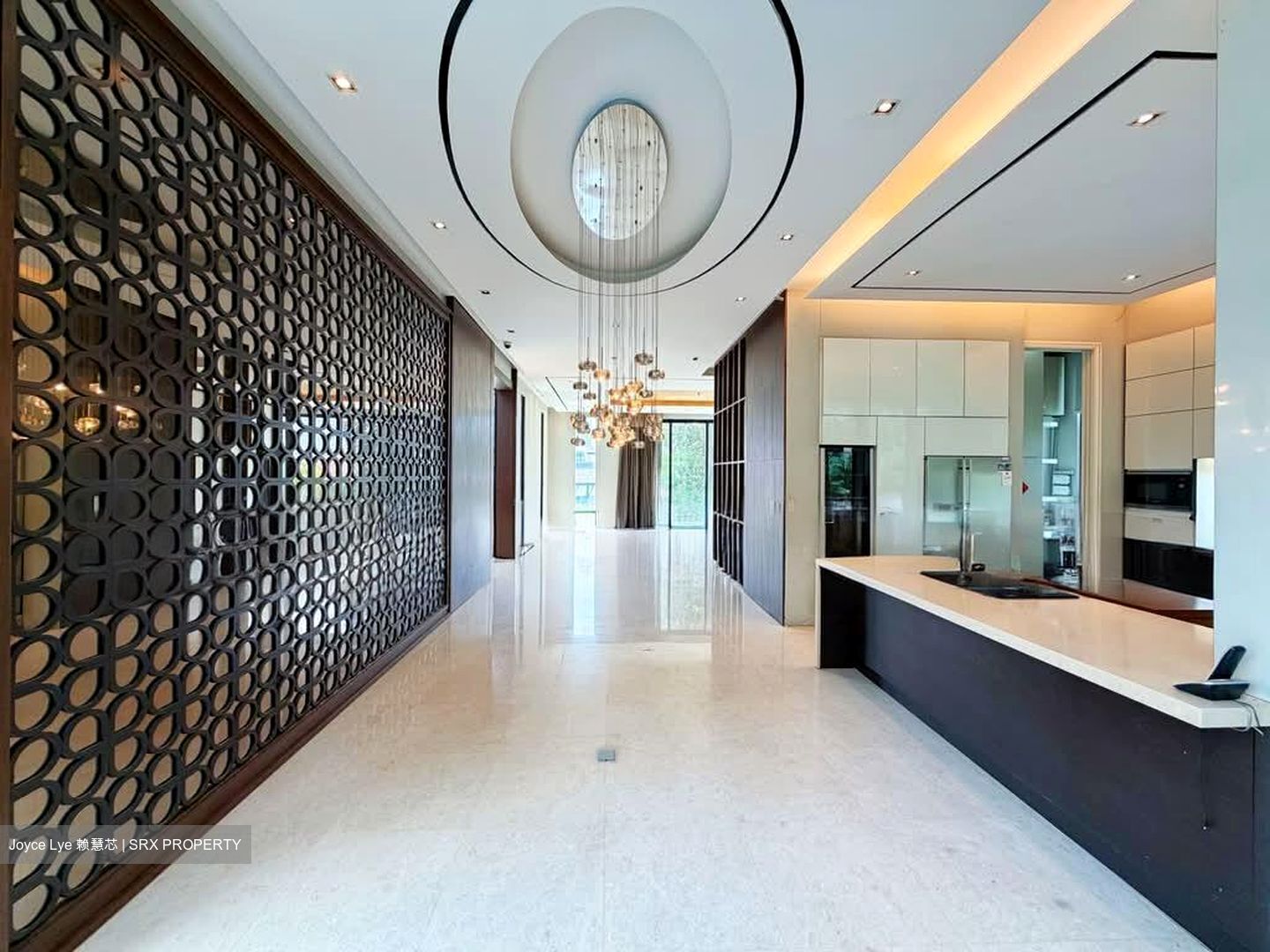 Chancery Lane (D11), Detached #565568221